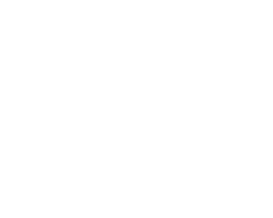 tire_logo1 copy