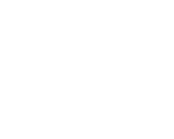 tire_logo_2 copy