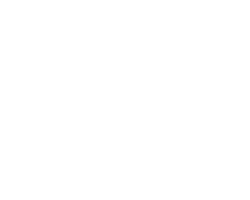 tire_logo_3 copy
