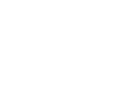 tire_logo_4